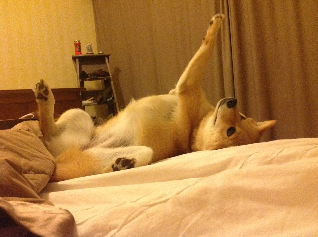 从安哥拉逆转日本，看中国男篮最缺的一环，个人硬解能力